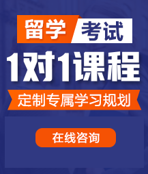 撸撸草逼视频网站留学考试一对一精品课